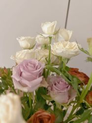 -弗蕾亚·和月月子调理院(东湖店)