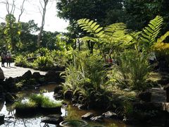 -深圳仙湖植物园