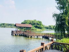 -上海市保健医疗中心(华东疗养院)