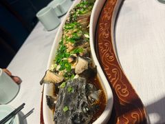 清蒸鲟鱼-聚味坊烤鸭店(草桥店)
