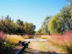 -永定河休闲森林公园