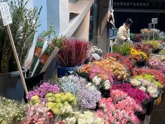 -循礼门鲜花花市(武汉循礼门店)