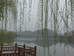 -明月山天沐温泉度假村