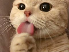 -炊烟小炒黄牛肉(东庆街店)