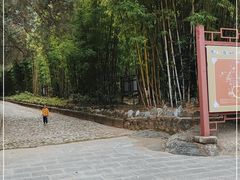 -蝴蝶泉公园