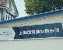 -翊宠yipet猫狗购宠庄园犬舍•猫舍