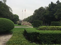 -中山大学学者灵芝(园南路店)