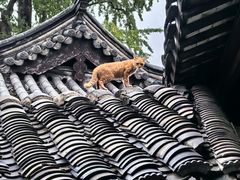 -常熟方塔园