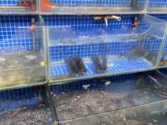 -吉麦隆(查桥商业广场店)