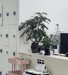 -梳蕾娜 HAIR SALON