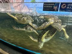 -福州罗源湾海洋世界旅游区