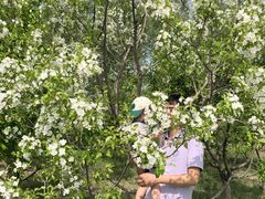 -东郊湿地公园
