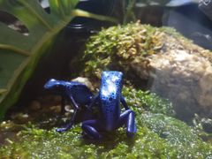 -暹罗海洋世界