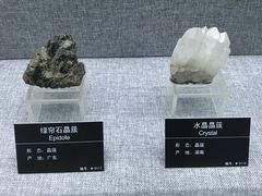 -甘肃地质博物馆