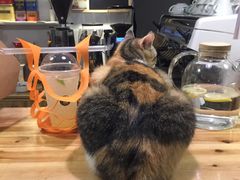 -隅cafe(傅厚岗店)
