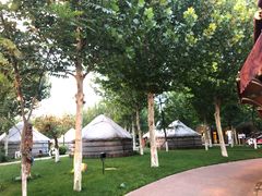 -九十九顶毡房(阜石路店)