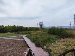 -永定河休闲森林公园