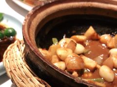 -大榕树下顺德菜(融创茂店)