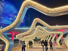 -演武大桥观景平台