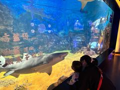 -烟台海昌鲸鲨海洋公园