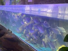 -梦幻海洋王国(吾悦广场张家港店)