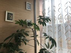 -成都伊贝丝美容美胸SPA会所
