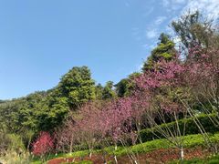-重庆彩云湖湿地公园