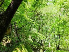 -五女峰国家森林公园
