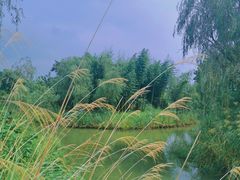 -梁鸿国家湿地公园