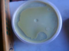 android_upload_pic-大象厨房(重庆道店)