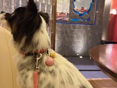 -何氏海产海鲜餐厅(体育中心店)