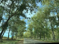 -草原天路(张北县)