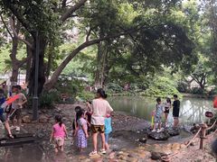 -成都市活水公园