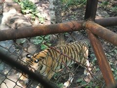 -哈尔滨北方森林动物园
