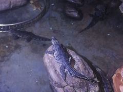 -蓬莱欧乐堡海洋极地世界
