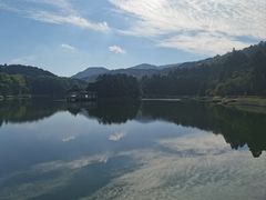 -庐山风景区花径公园