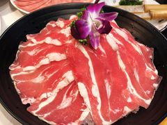 -洪焱重庆老火锅(万福花园店)