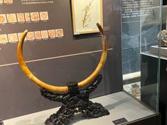 -呼和浩特博物馆