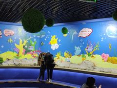 -重庆欢乐海底世界