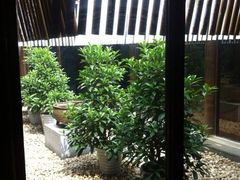 iphone_upload_pic-粗茶淡饭·隐庐私厨(东亭店)