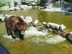-北京野生动物园
