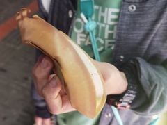 -易老大蛋烘糕(奎星楼总店)