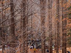 -白水寺森林公园