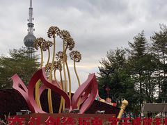 -文华公园(禅城区)
