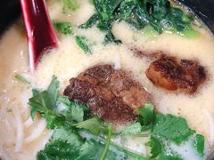 草本汤猪软骨面-和府捞面(天河领展广场店)