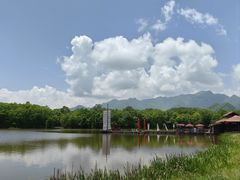 -大九湖