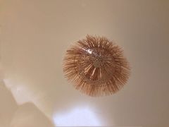 -王守财小山園