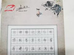 -赵汝飞练字硬笔书法(静安大融城校区)