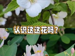 -北极寺公园
