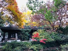 -上海醉白池公园